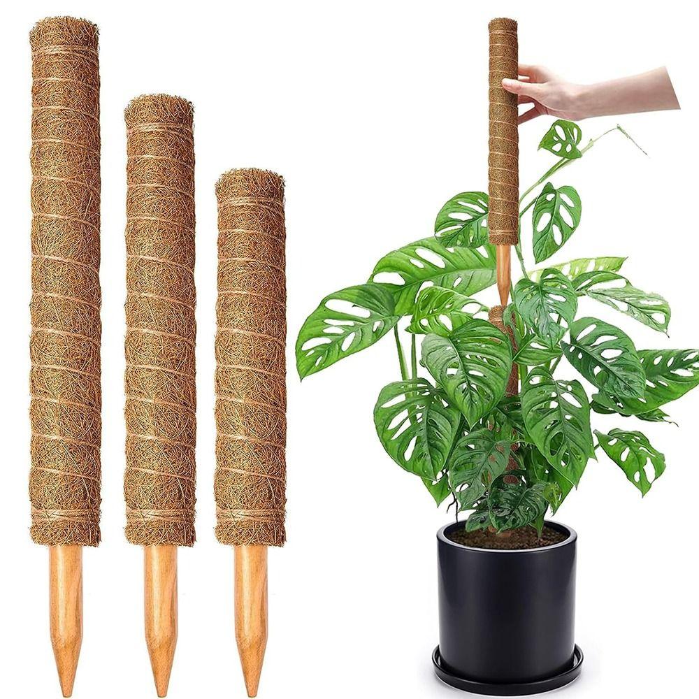 Stevige Plantensteunen 30/40/50cm Kokostotempalen Duurzame Mosstokken Huis