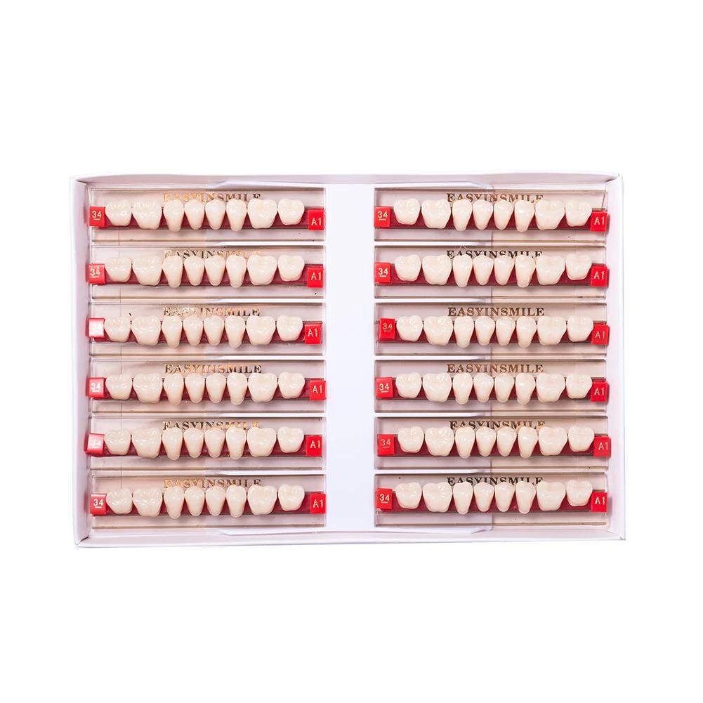 16/12 Sätze/Karton Zahnprothese Zähne Oberkiefer Frontzähne Unterkiefer Seitenzähne Dentier Synthetisches Polymerzähne Zahnmedizinische Ausbildungsmodell