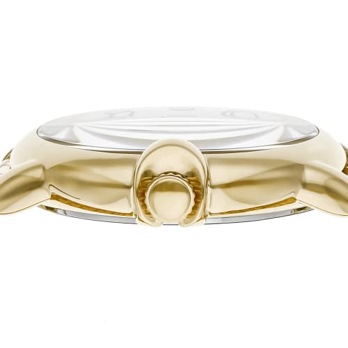 Coach ARDEN Watch, 36mm, Women's, Gold, White Dial, Quartz Movement, Water Resistant, Mineral Glass, 14503599