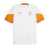 Puma Mens 23/24 Manchester City FC Training Jersey