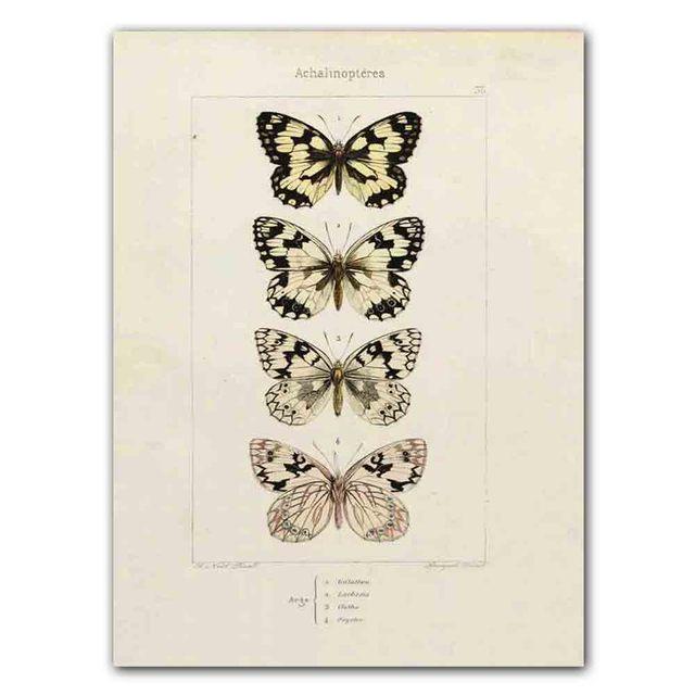 Nordic RETRO Art Canvas Painting Butterfly Insect Evolution Poster Living Room Corridor Wall Painting Home Decoration Mural No Frame