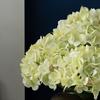 Elegant Realistic Artificial 5pcs Hydrangea Bouquet - Green & White Faux Hydrangea Stems for Wedding Centerpieces, Home Decor, and Party Arrangements