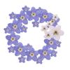Nail Art Candle Making Jewelry Natural Forget-Me-Not Don't Forget Me Dried Flowers Pressed Flower