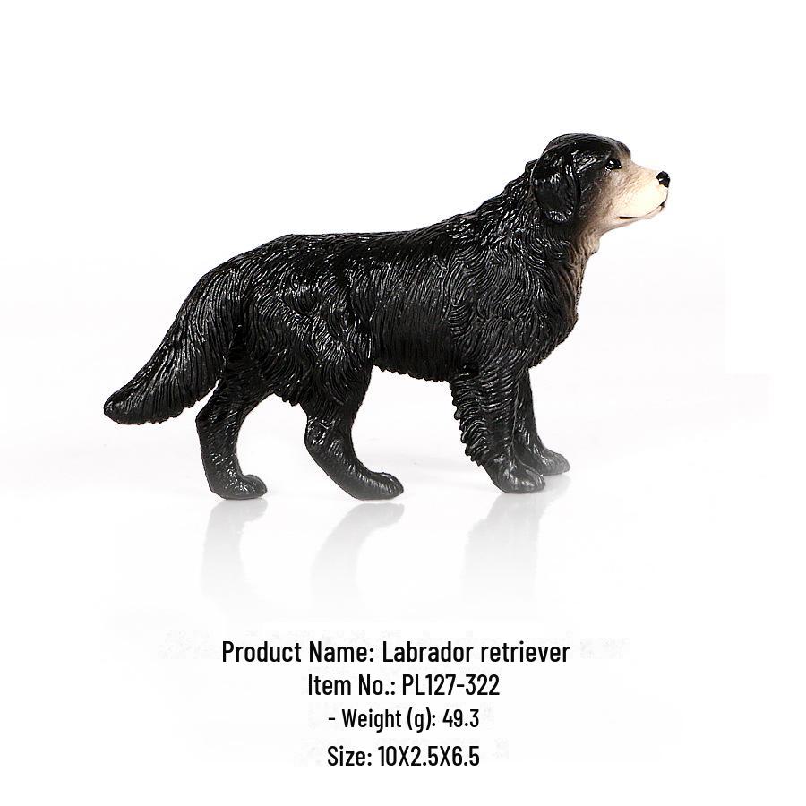 "Simulation Dog Models: Golden Retriever, Bulldog, Shepherd, Corgi, Shiba Inu Collection"