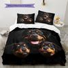 Cartoon Pattern Bedding Quilt Set Quilt Cover Pillowcase Home Decoration Birthday Gift (1 * duvet cover + 2 * pillowcase, without core)