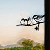 Unique Garden Ground Plugs - Metal Iron Elf and Bird Feeder. Decorative Bugs and Animals for Garden, Wall Art, and Stickers