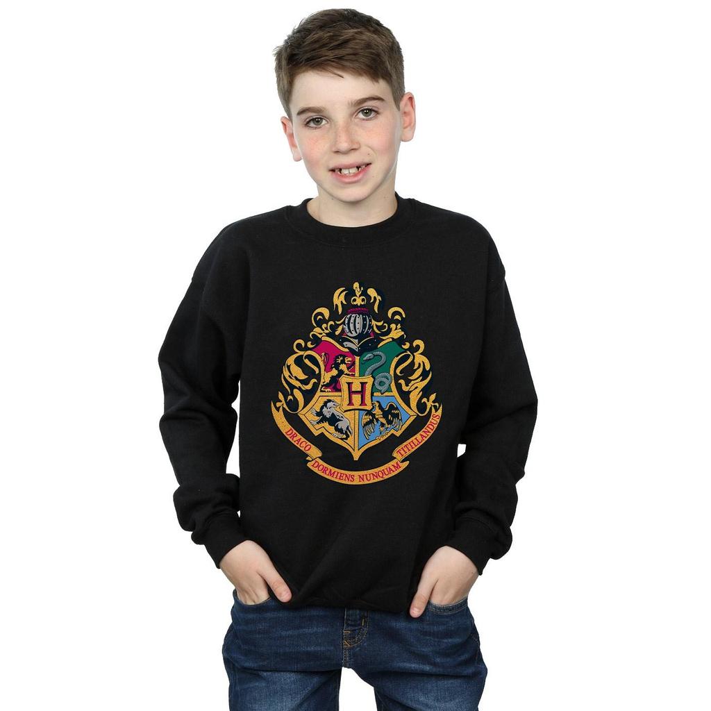 HARRY POTTER Boys Hogwarts Crest Gold Ink Sweatshirt