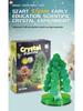 Xueyou Ma Blooming Crystal Christmas Tree - Magic Growing Kit for Science Lovers