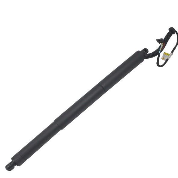 Electric Strut for BMW F15 (51244823279/51248232280)