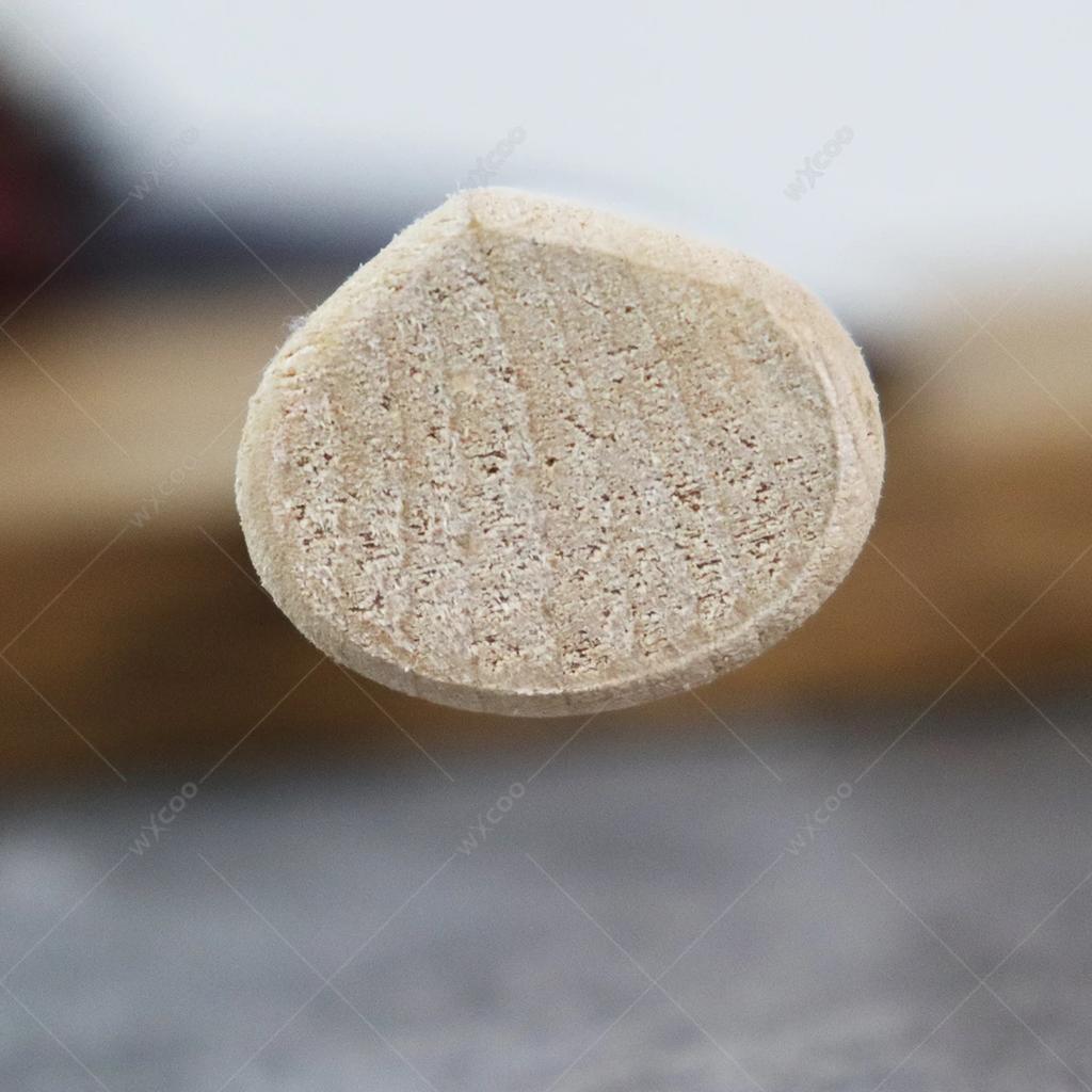 Professional Chef's Knife Salmon Slicing Knife Japanese Sashimi Knife Single-edged Blade Sushi Fish Knives Meat Cleaver with Box