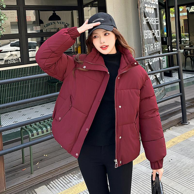 Jachetă de iarnă groasă, călduroasă, de damă, casual, scurtă, cu guler înalt, rezistentă la vânt