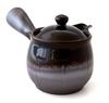 Banko Ware Future Style Teapot, Size 2.0, Candy Glaze, K11-53