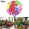 Ornament Artificial Mushroom Plant Simulation Assembly Colourful Decorative Eco Bottle Landscape Home Decoration