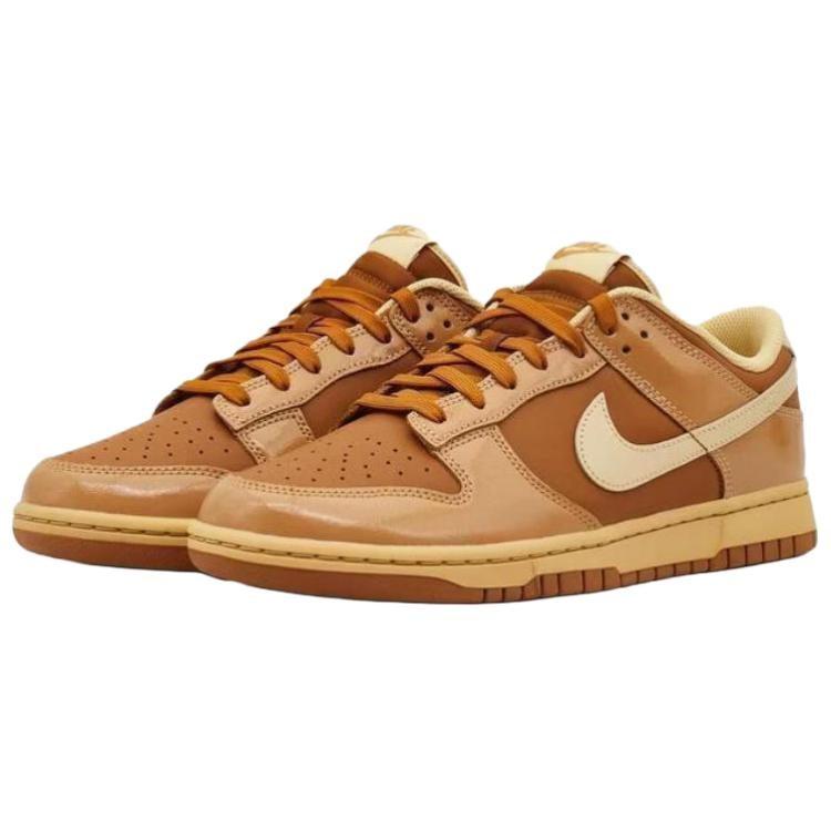 Nike Dunk Skateboard Shoes Men's Brown IM4415-200