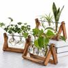 Hydroponic Vase Glass Transparent with Wooden Stand Creative Simple Desktop Green Plant Cultivation Container Home Decoration Or