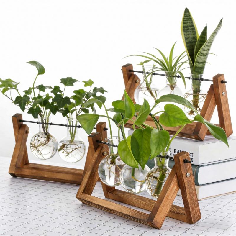 Hydroponic Vase Glass Transparent with Wooden Stand Creative Simple Desktop Green Plant Cultivation Container Home Decoration Or