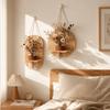 Wooden Wall Hanging Planter Holder Home Ornaments Hydroponic Planter Shelf  Hydroponics