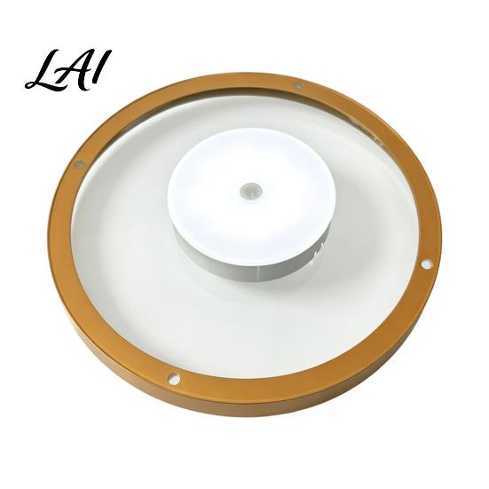 Small Collectibles Wall Mount Floating Shelf with LED Light Modern Gold Metal Display Rack Accent for Entryway Plants Book Space Saving Mounted