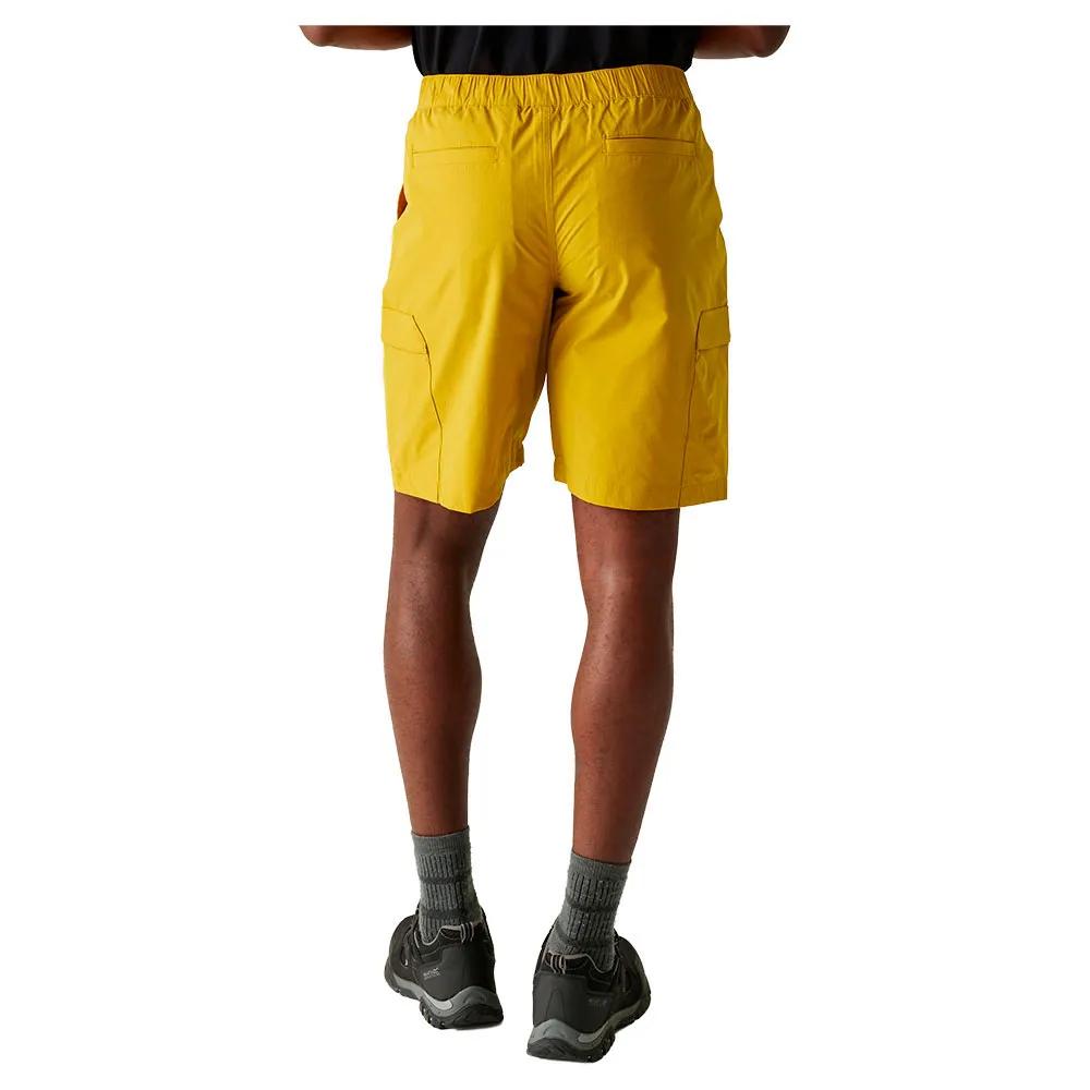 Regatta Mallen Shorts
