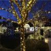 9.5M/12M/22M/32M Outdoors Solar String Light 8 Modes Solar Lamp Waterproof for Gardens Wedding Party Valentines Christmas Tree Decoration