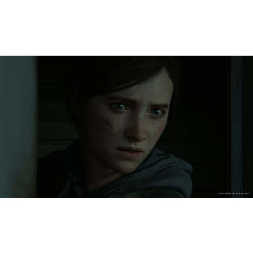 [PS4] The Last of Us Part II [CERO rating "Z"]