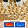 Four-Season Rattan Folding Cat Hammock: Removable, Washable, Small Pet Bed
