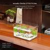 Desktop Eco Fish enclosure, PET aquatic habitat, Transparent Turtle Living Room