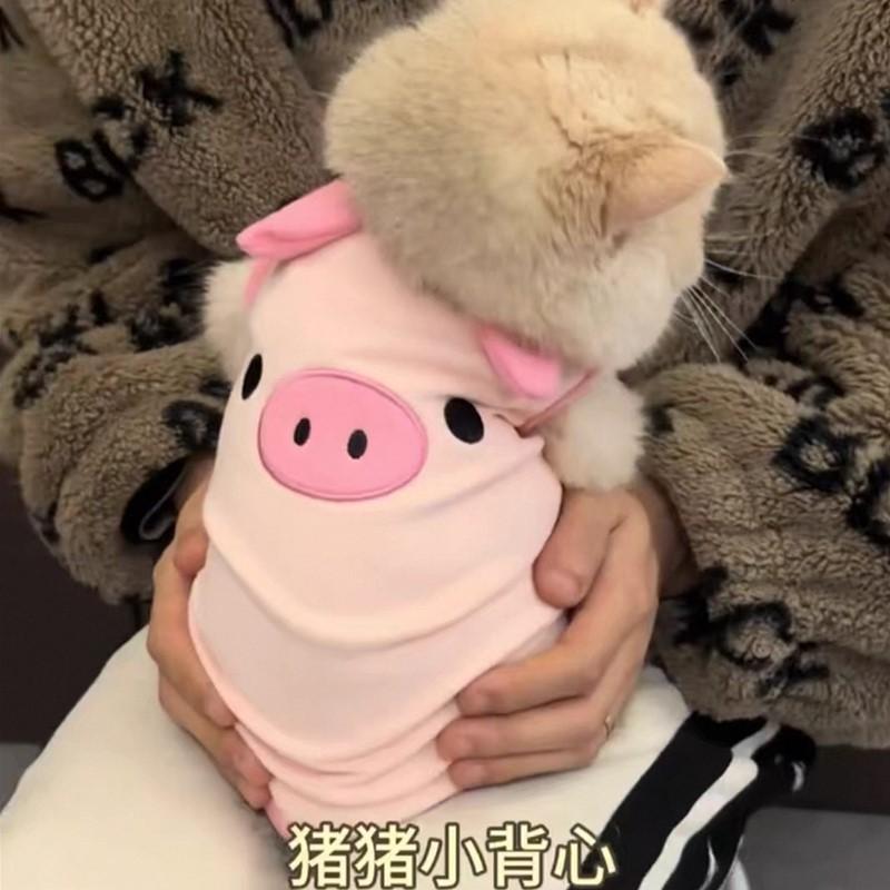 Cat Anti-shedding Dog Clothes Bichon Pet Vest Thin Summer Day Teddy Pomeranian Small Dog Summer