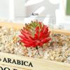 2pcs Realistic Fake Succulent Flocking Plants DIY Simulated Floral Plants  Party Decor
