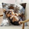 Niedliche Yorkie-Welpen-Druck-Kissenhülle für gemütliche Deko, Sofakissenbezug, Dekoration für Wohnzimmer, Zimmer, Schlafsaal, 2D-Druck