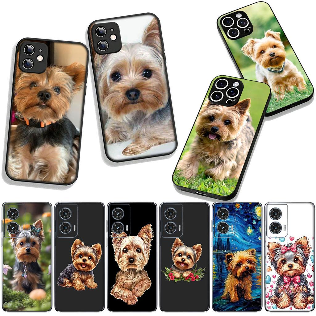 for Samsung Galaxy S25 S24 S22 S23 FE Ultra Plus A56 A05 A06 A15 A16 A55 S7 Edge Cover Case Yorkshire Terrier Yorkie Dog Pet