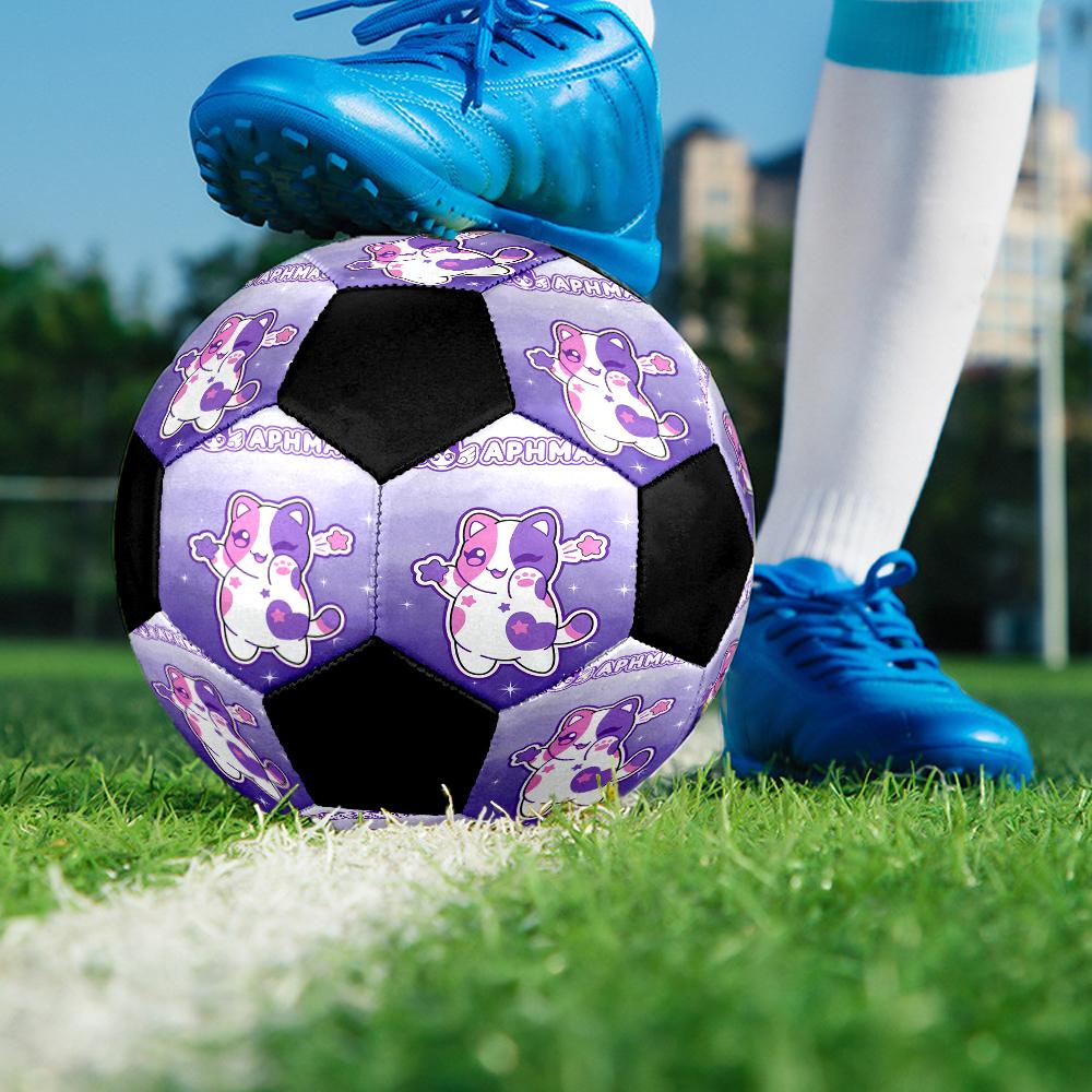 Pallone da Calcio Tema Aphmau Misura 5, Adatto Sia per Partite Indoor che Outdoor, un Regalo Adatto a Tutti.