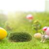 12Pcs Decorative Artificial Moss Stones Emulated Mossy Rock Set for Dried Flower Arrangements Bonsai Embellishment Micro