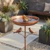 Rustproof Metal Freestanding Birdbath 5 Claw Ground Plug Bird Feeding Station  Lawn Backyard