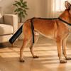 Dog Tail Protection Sleeve Adjustable Cover with Harness FastRelease Pet Supplies for Dogs,
