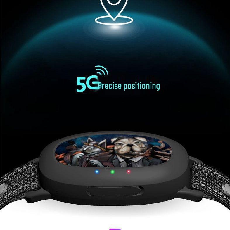 Pet Smart Tracker: Waterproof Beidou GPS Collar for Real-time Tracking and Anti-lost Protection for Cats and Dogs