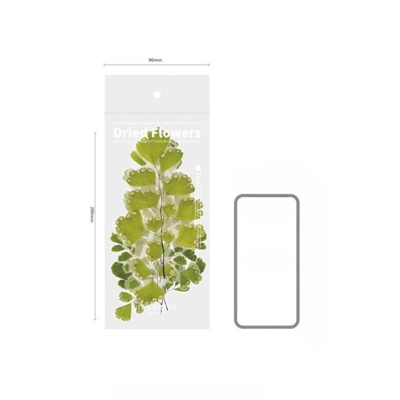 6 Stück/Los Vintage Trockenblumen PET Aufkleber Dekoratives Tagebuch Basteln Scrapbook Planer Journal Ästhetisches Schreibwaren Studentengeschenke