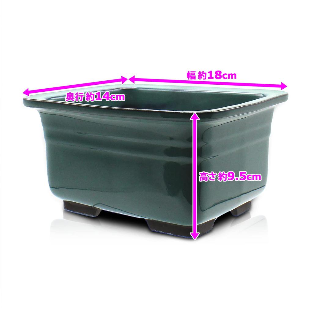 Umekichi Bonsai 6 Bonsai Mittelband Oribe Seto Tief Ungefähr Verschiedene Mittlere Größe Zubehör, Nein. Topf, Nade-Kaku Tief, Grün, Glasur, Ware,