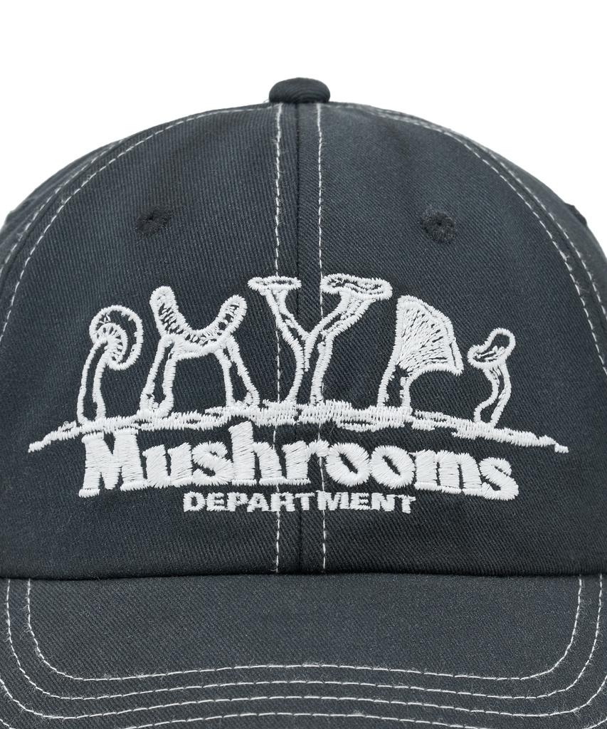 PHYSICAL DEPARTMENT Mushroom Washed Ball Cap_Charcoal