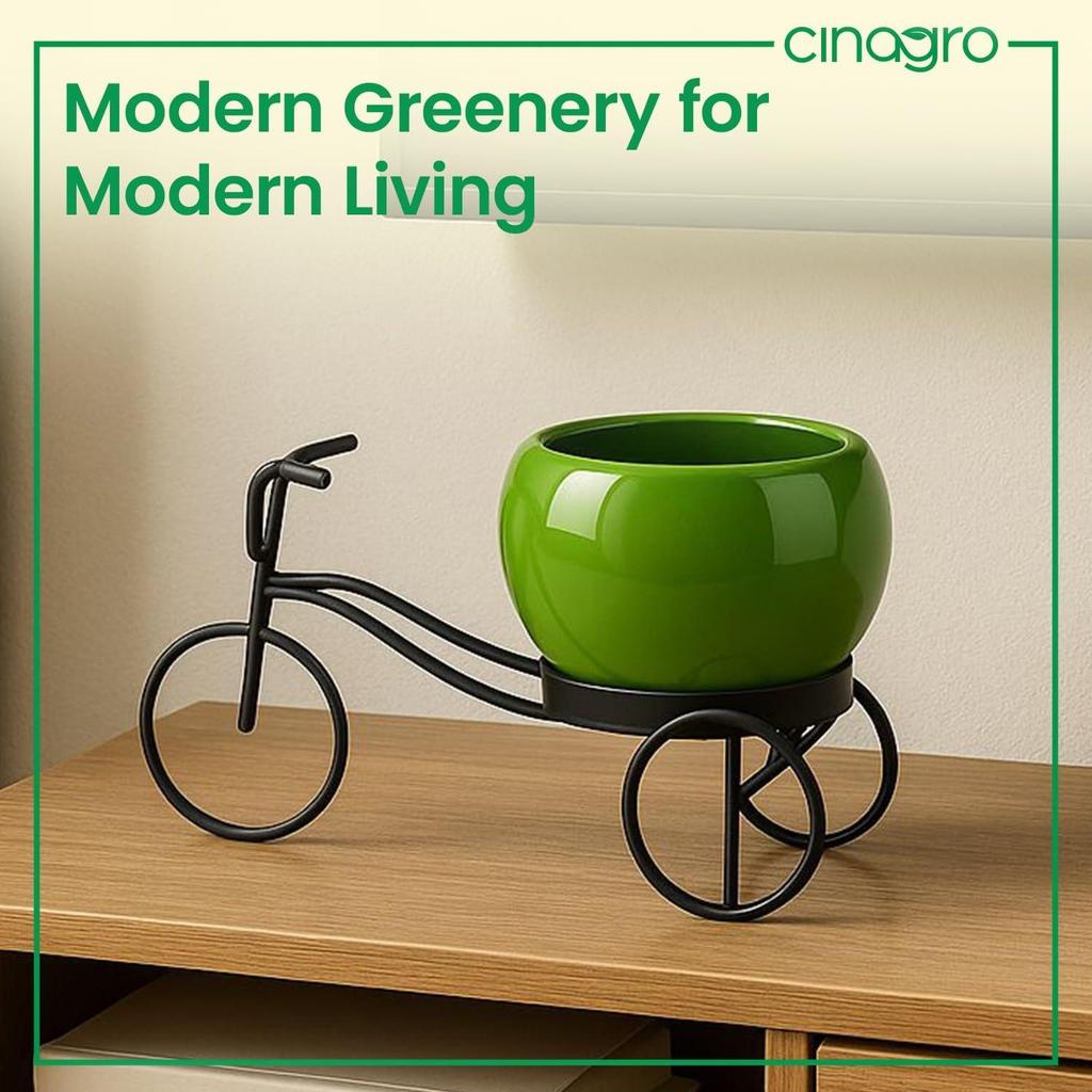 Cycle-Shaped Metal Plant Stand for Indoor & Outdoor Use, Metal Cycle Flower Vase, Decorative Iron Planter Pot Holder for Flowers