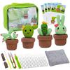 Plant Felting Starter Kits with Felting Needle and Instructions, for Beginner