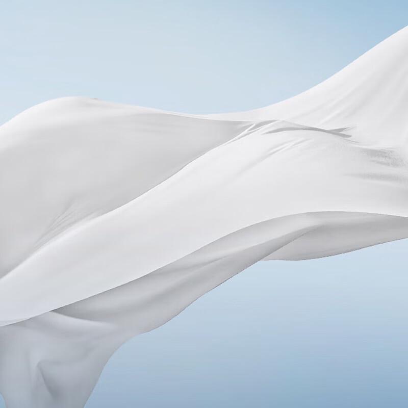 Bosideng Men's Lightweight Hooded Goose Down Jacket B250131023