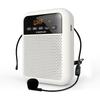 Nuowo S330 Wireless Portable Voice Amplifier CN plug (adapter included) (CN version)