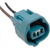 Automobil-Elektriksteckverbinder 2-Pin Automobil Front- und Nebelschlussleuchte pl;/UG Kabelbaum Buchse Elektronischer Stecker Blau Passend Kompatibel