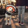 Adjustable Dog Cone Breathable Recovery Collar Safety Elizabethan Collar  Pets