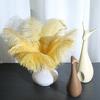 25-30cm Large Ostrich Feather for Wedding Bouquet or Photo Decoration