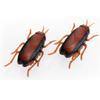 Funny Simulation of Cockroaches Pet Cat Dog Kitten Interactive Training Play Halloween Decoration
