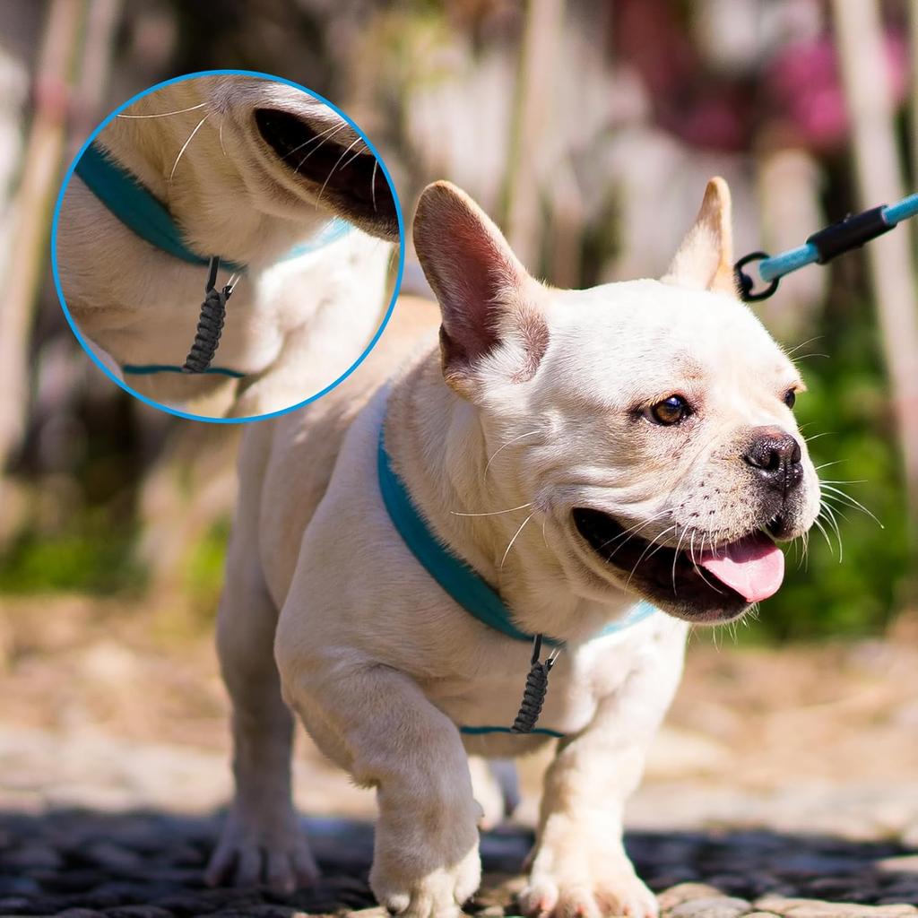 Dog Leash Safety Clip, Backup Safety Strap for Prong Collar, Dog Harness Connector, Training for Running, Walking and Hiking