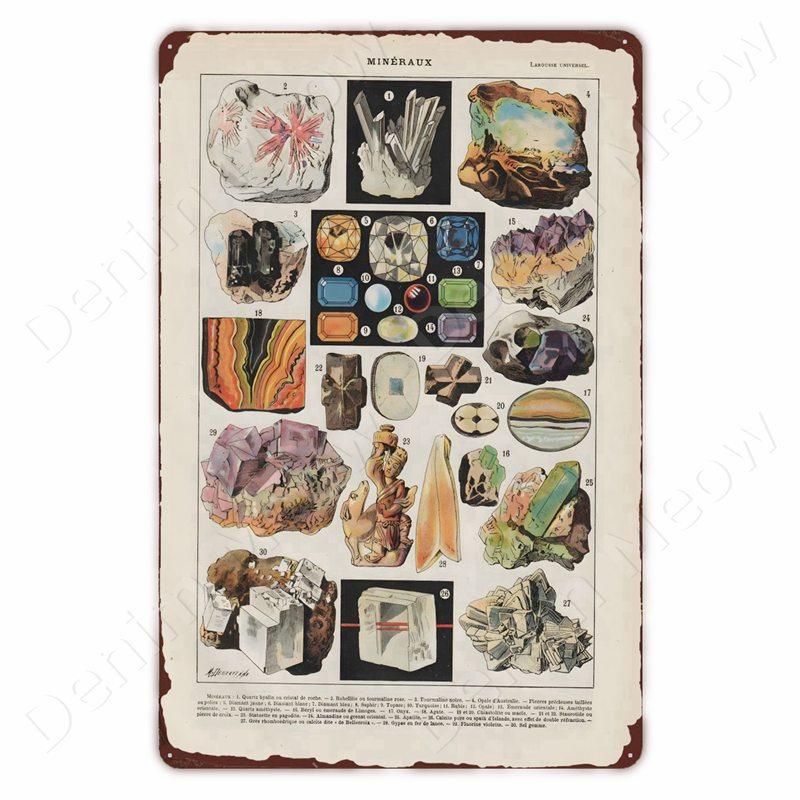 

Древние старинные металлические знаки, настенное искусство, постер, млекопитающие, ядовитые знаки для домашнего декора, классные украшения, насекомые, жестяные знаки 20x30cm