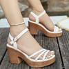 2025 new thick-soled one-word Roman sandals women's high-heeled waterproof table gold wedge-heeled open-toed women's shoes